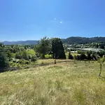 Les Brimbelles 勒索里