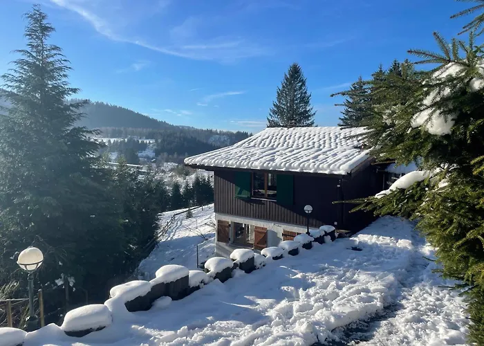 Les Brimbelles 샬레 *